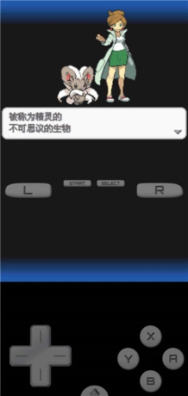口袋妖怪黑2 点击查看大图