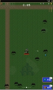 吸血鬼幸存者附作弊码版图5