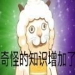 異國大營救游戲