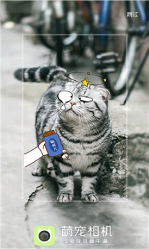 萌宠相机 点击查看大图