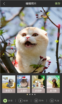 萌宠相机 点击查看大图