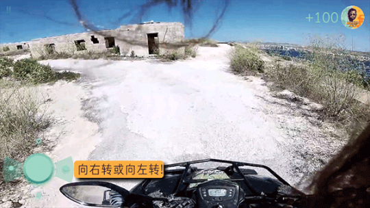 通緝者中文版