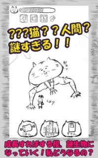 寄生貓