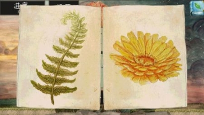 發芽啦