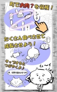 寄生貓