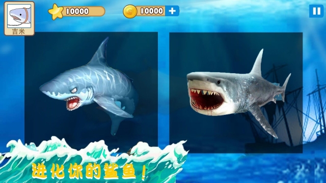大白鲨真实模拟 点击查看大图