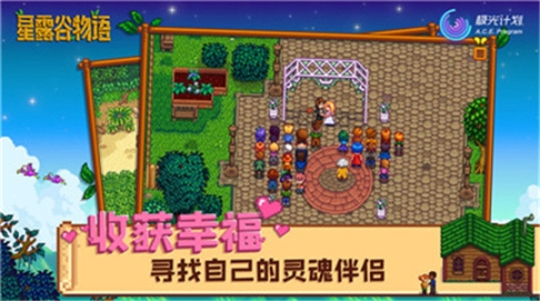 星露谷物语 点击查看大图