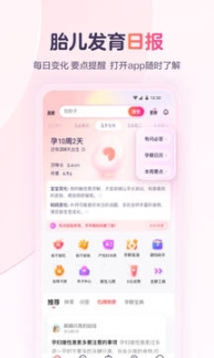 寶寶樹
