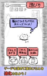 寄生貓