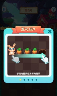 兔兔紅包群