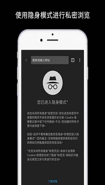 谷歌chrome浏览器最新版图4