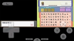 口袋妖怪心金魂银图3