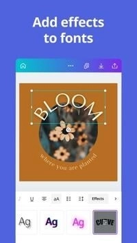 Canva可画苹果版图4