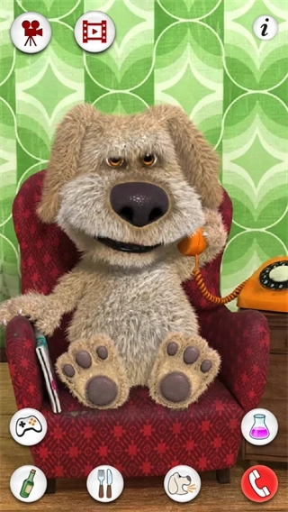 会说话的狗狗本单机版图4