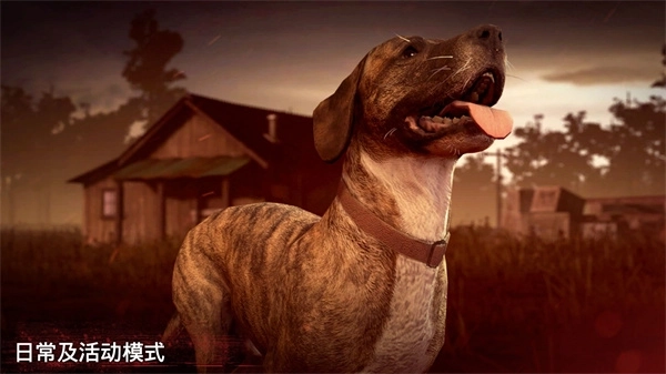 勇闯死人谷2全速前进中文版图4