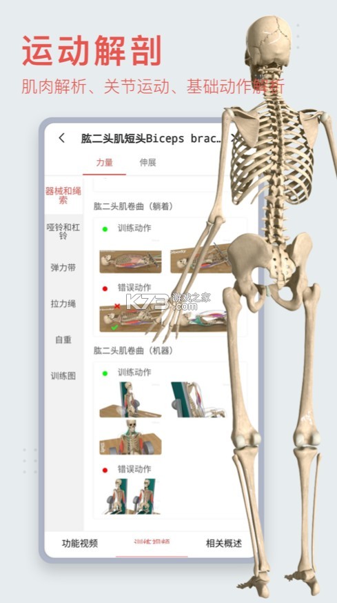 3Dbody解剖