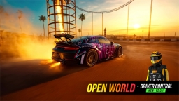 拉力地平线(RallyHorizon)