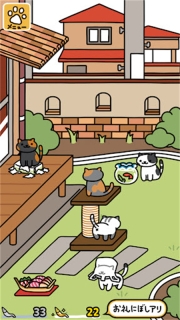 猫咪后院2手机版
