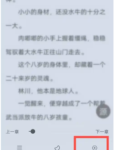 夜猫小说免费版