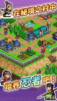 開羅合戰(zhàn)忍者村物語debug版