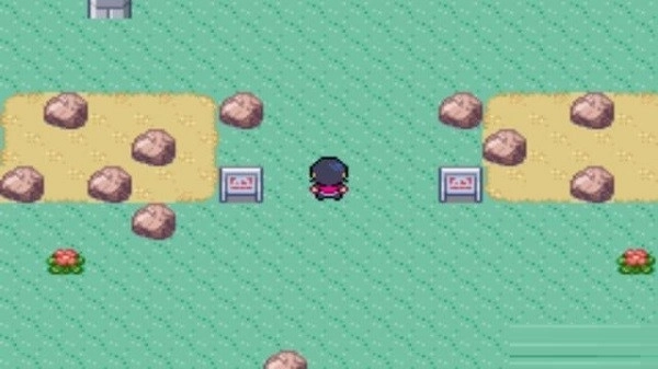 口袋妖怪蛇纹木图1