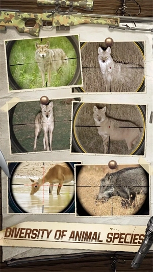 狩猎狙击手3D国际服图1