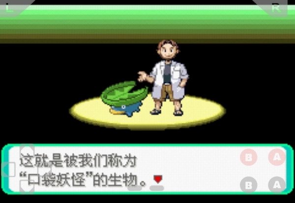 口袋妖怪黑暗之火随机版图3