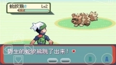 口袋妖怪绿宝石随机版图2