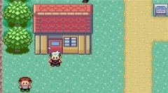 口袋妖怪绿宝石随机版图4