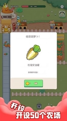 空闲胡萝卜农场图3
