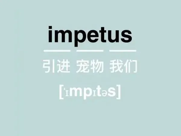 轻轻松松背单词电脑版