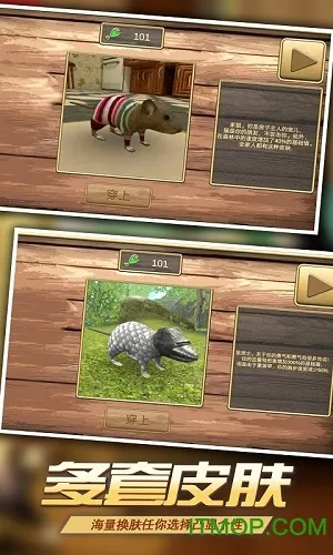 真实老鼠模拟(精灵鼠小弟)