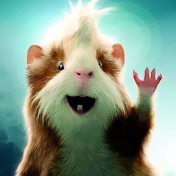 真实老鼠模拟(精灵鼠小弟)