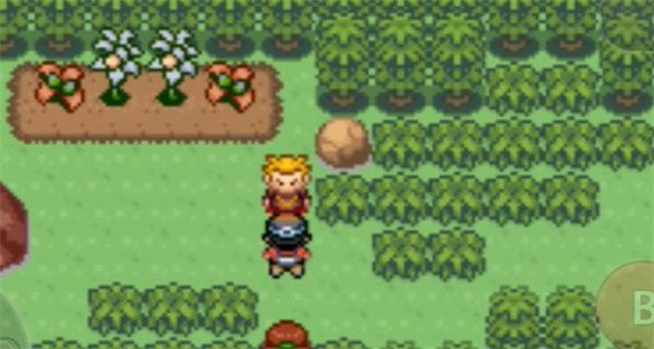 口袋妖怪極光石3