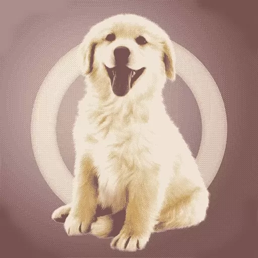 人狗交流器-狗语翻译器