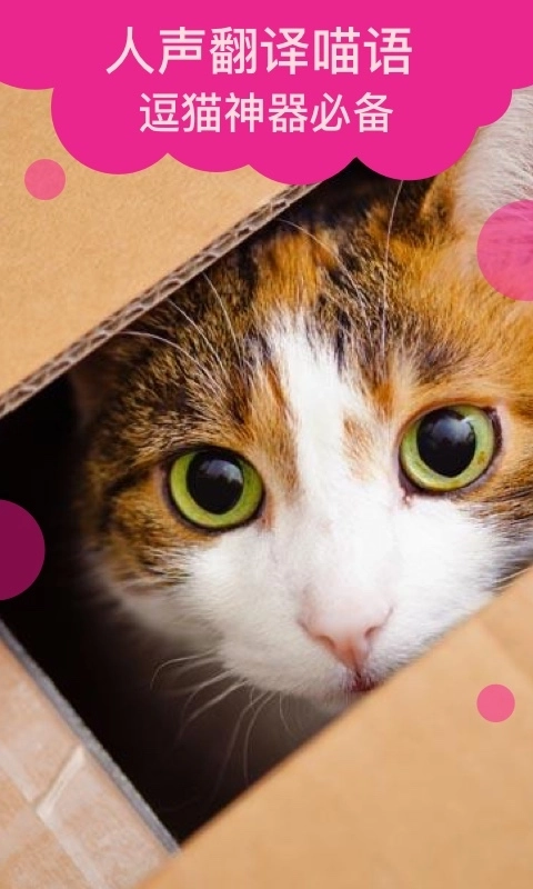 猫语翻译官