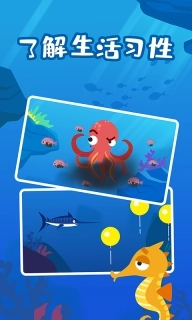 多多海洋动物-儿歌多多海底奇遇