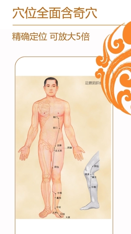 经络养生-中医穴位针灸按摩