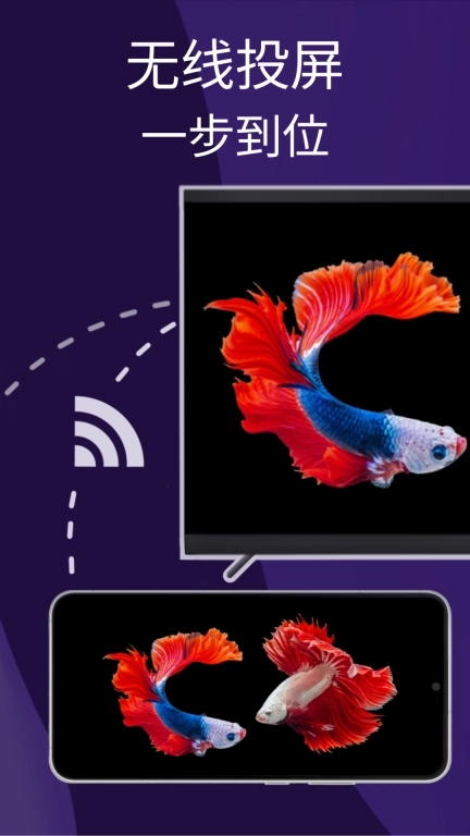 雨燕投屏-同屏到电视和电脑