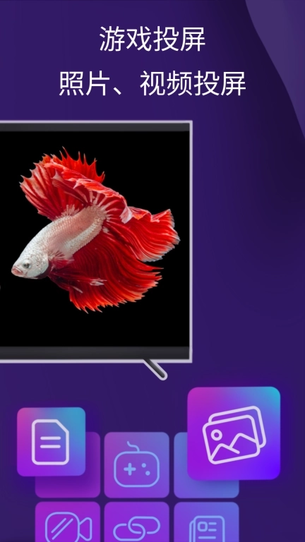 雨燕投屏-同屏到电视和电脑