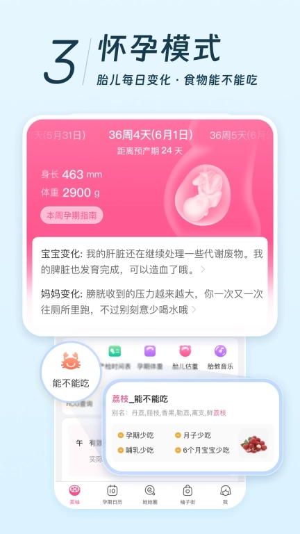 美柚-经期备孕怀孕育儿亲友版