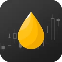 口袋原油-汽油价格原油报价