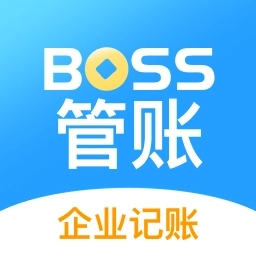 BOSS管账-企业项目财务记账