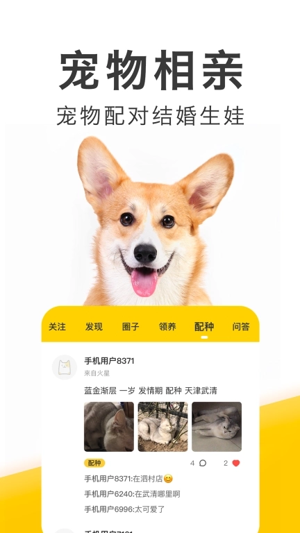 有只宠物-一站式养宠物服务