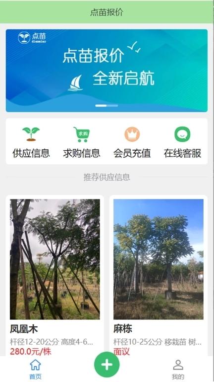 点苗报价-苗木网