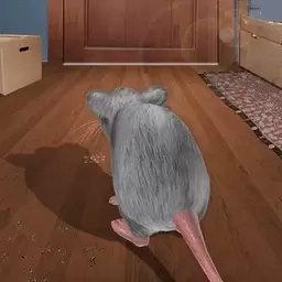 美食和老鼠-老鼠生存模拟