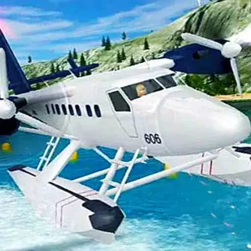 飞机飞行模拟器