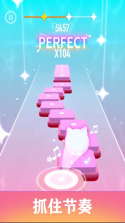 猫咪节奏-跳舞的猫