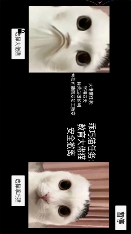 猫猫惊魂夜-猫meme校园历险