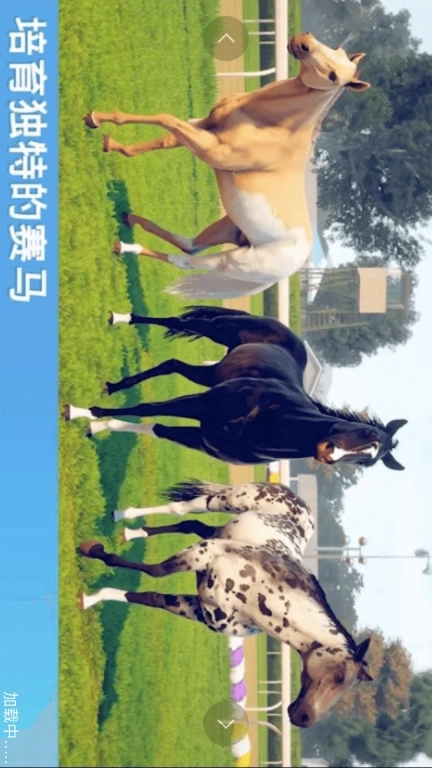 赛马大师3D-马匹竞技竞标赛